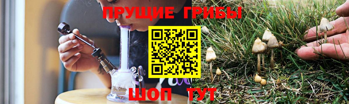 Галлюциногенные грибы ЛСД  Вход с VPN  Назарово  Псилоцибиновые грибы MAGIC MUSHROOMS 